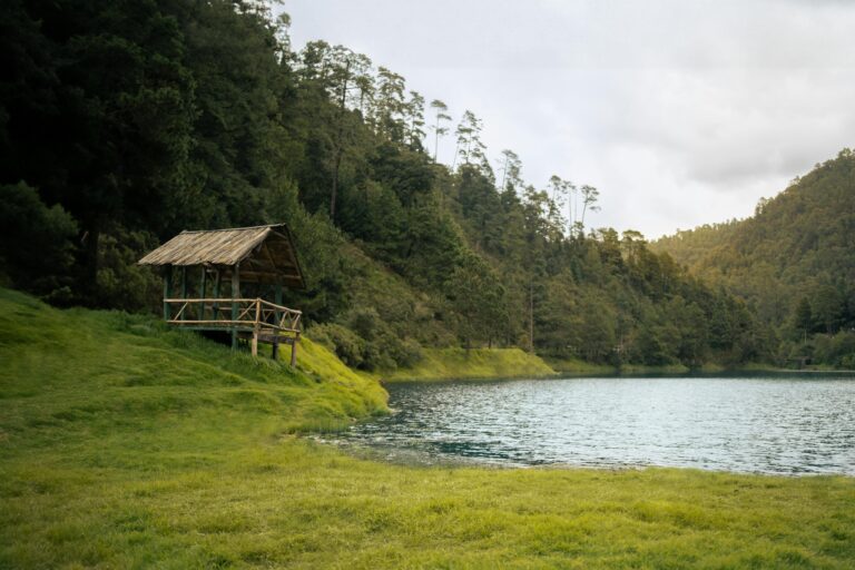 Boligforening - Loftsisolering