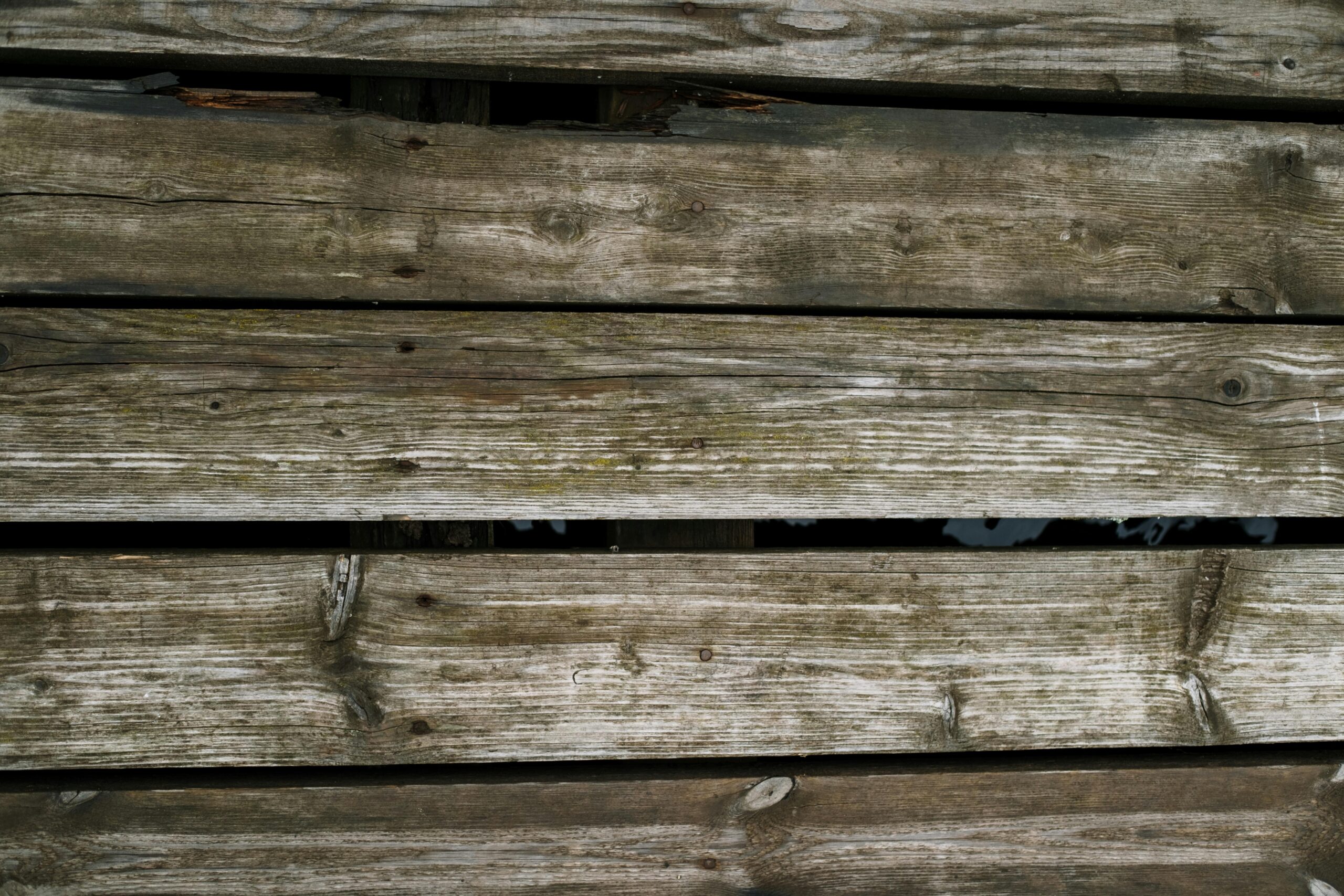 Etablering af ny træterrasse